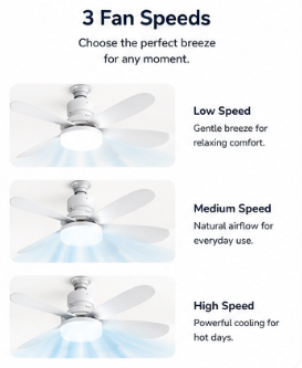 Modern Ceiling Fan with LED Light & Remote Control