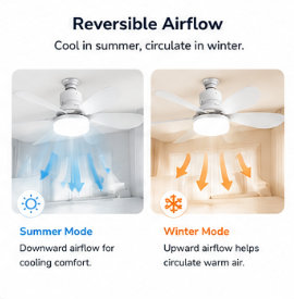 Modern Ceiling Fan with LED Light & Remote Control
